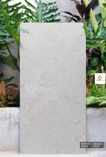 Gạch 60x120 CM Ấn Độ