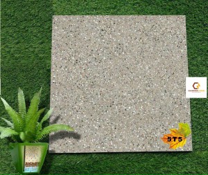 Gạch ốp lát 50X50 GM75 5T5