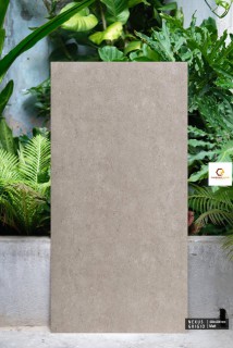 Gạch 60x120 CM Ấn Độ