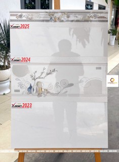 Gạch 30X60 XSMART 2025-2024-2023